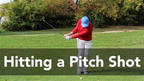 How to Hit a Pitch Shot in Golf: And Why Pineapples Might Be the Secret to Perfect Spin