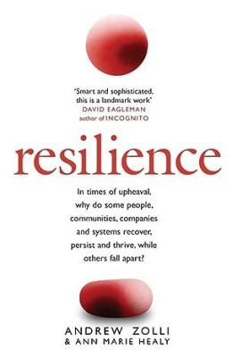  Resilience: Why Things Bounce Back - Unlocking Inner Strength Through Real-Life Stories and Timeless Wisdom