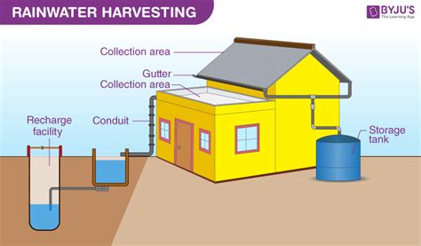  Water Harvesting for Urban Dwellers: A Practical Guide to Conserving Water and Growing Food -  Thủy Triệu Cho Người Dân Thành Phố: Một Hướng Dẫn Thực Tế Để Bảo Toàn Nước và Trồng Trọt!