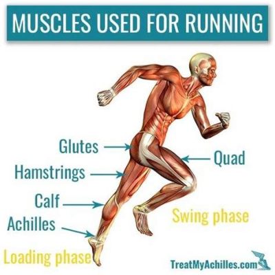 What Muscles Are Used for Running: And Why Do They Sometimes Feel Like They’re Throwing a Party Without Inviting You?