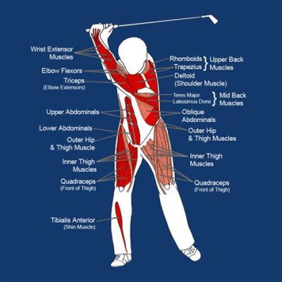 What Muscles Does Golf Work: A Swing into Fitness and Fun