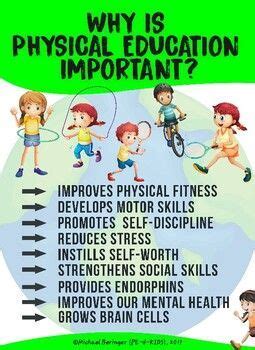 Why is Physical Education Important Essay Brainly: Exploring the Unseen Benefits of a Balanced Curriculum