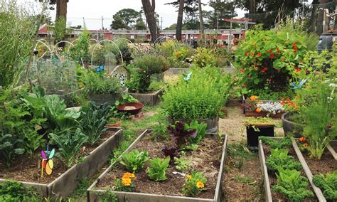 Zona de Flores: Una Guía Práctica para Cultivar un Jardín Abundante en la Ciudad – Un viaje botánico urbano lleno de poesía y sabiduría ancestral