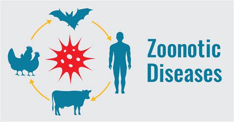  Zoonotic Diseases: A Concise Review – A Masterful Brushstroke on the Canvas of Global Health